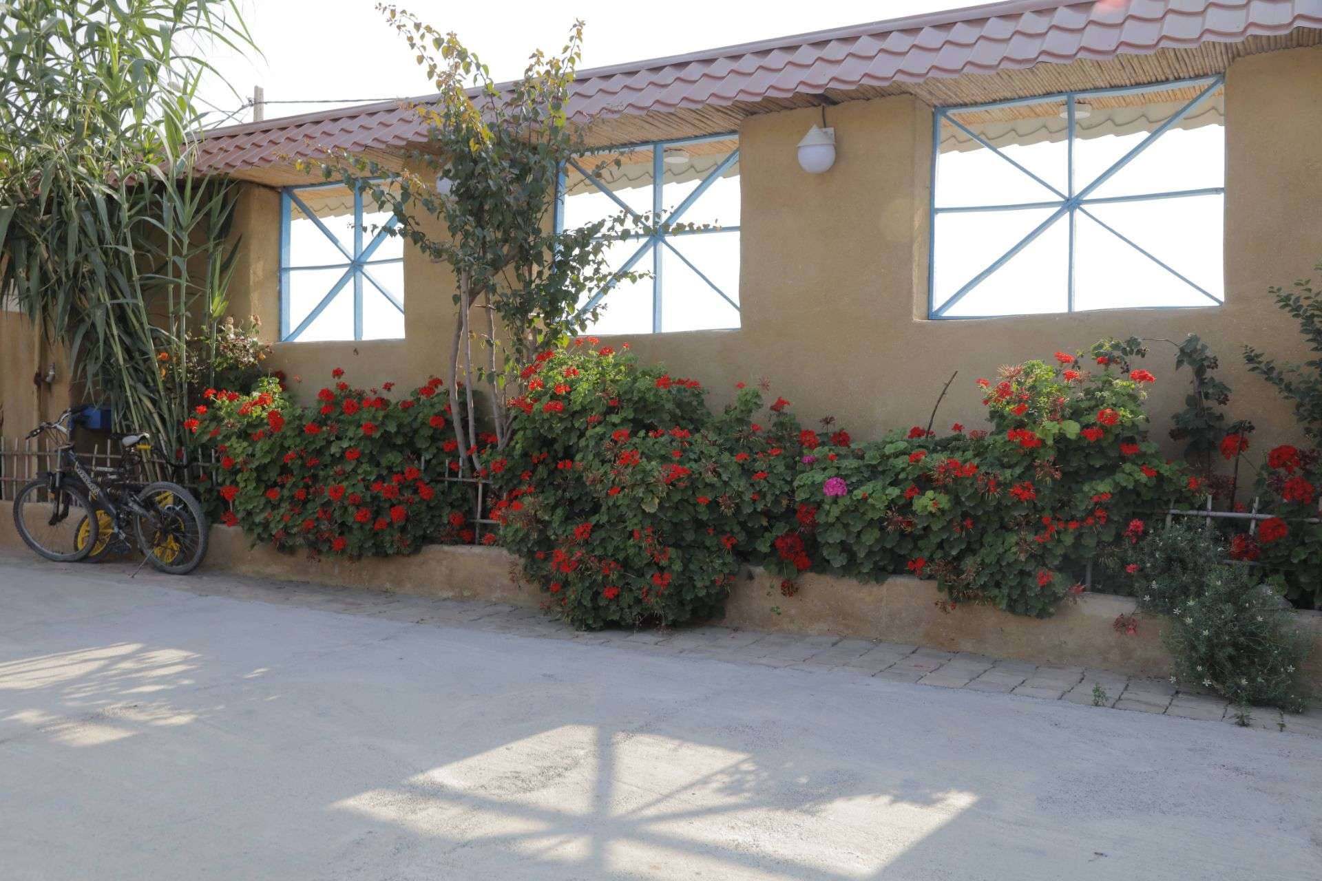 گالری تصاویر
